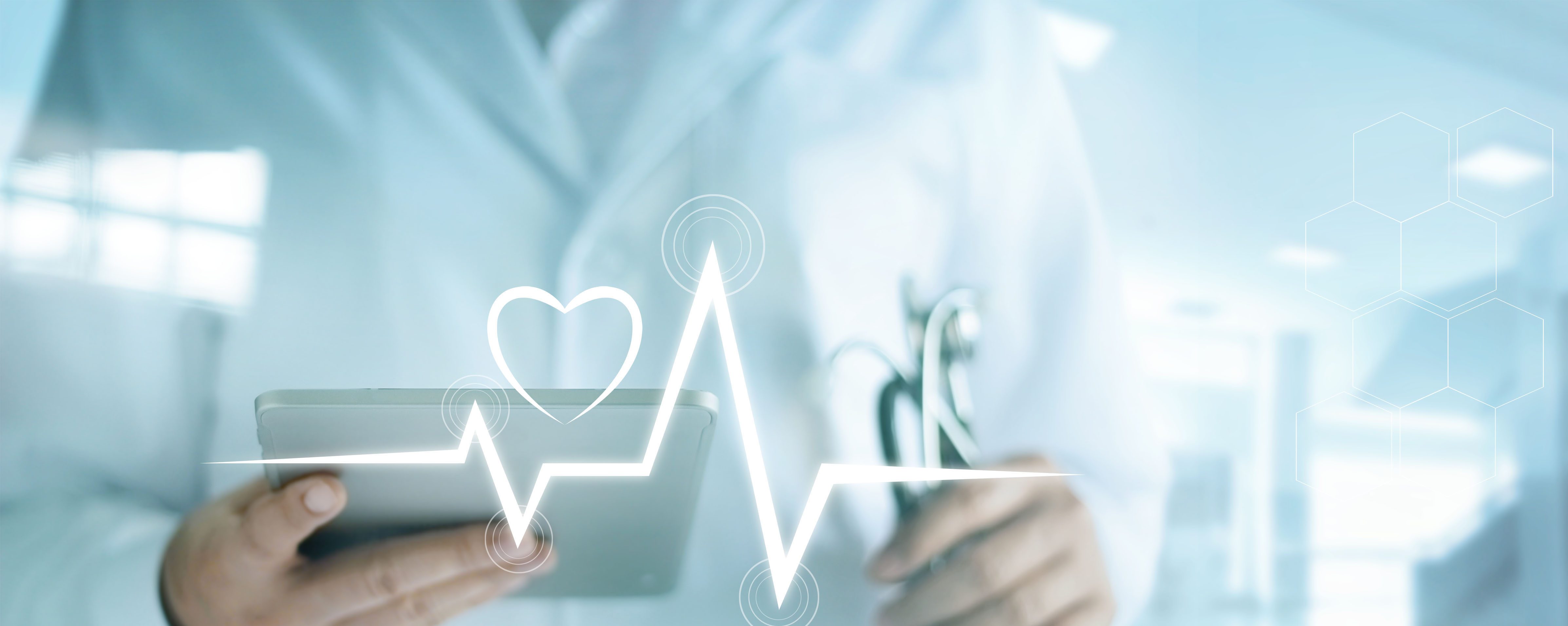 メディカルツーリズム、会社紹介